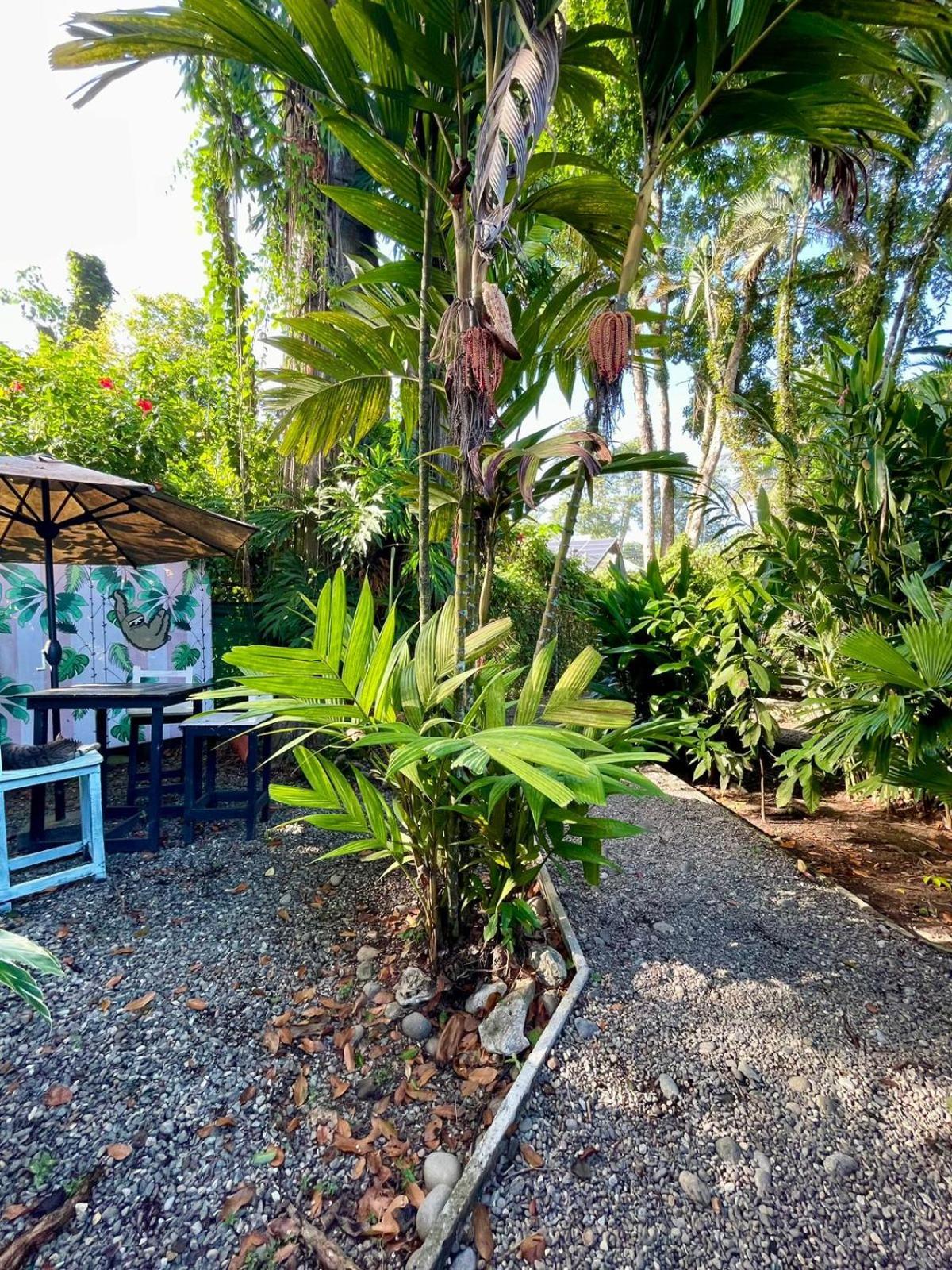 Hotel Exotic Lodge Puerto Viejo de Talamanca Esterno foto